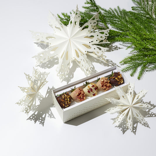 Bundle_Mini-Winter-Sterne-Weiss